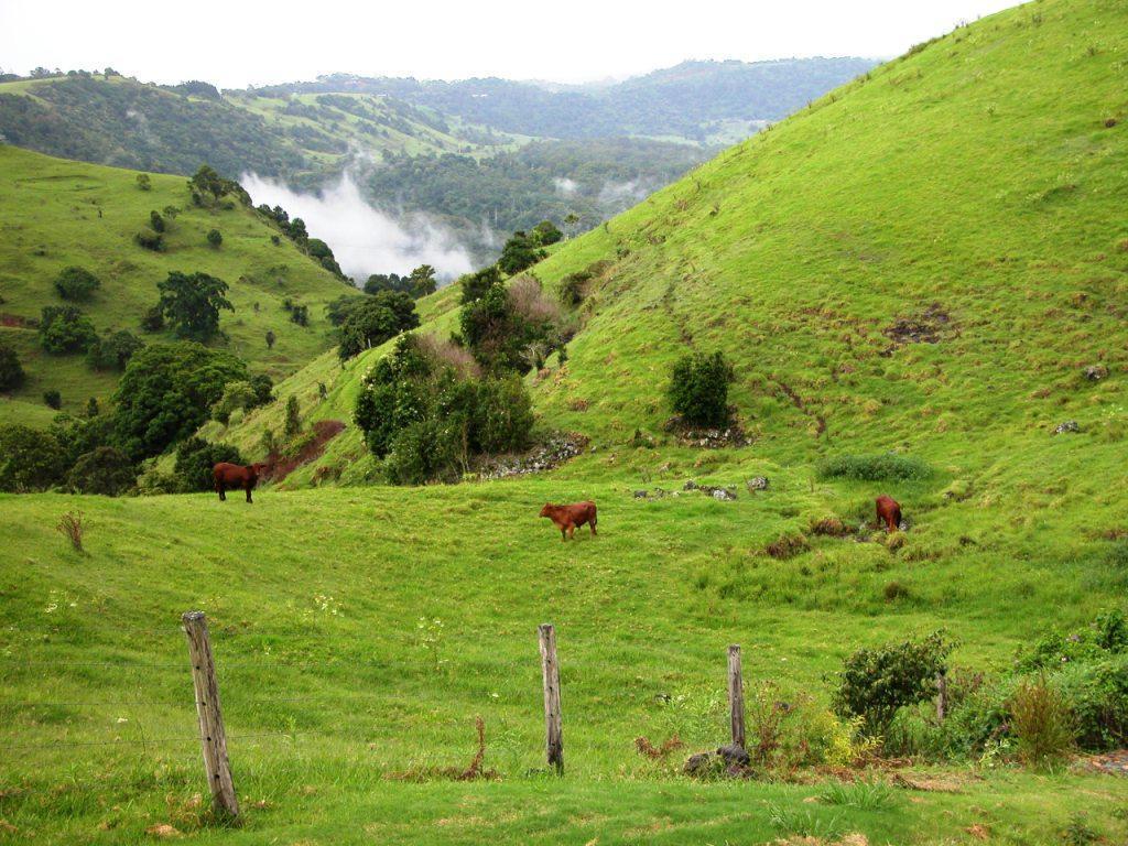 Top Of The Hill Maleny Luaran gambar